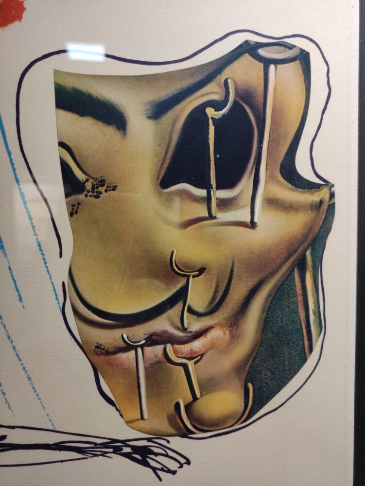 Scopri di più sull'articolo SALVADOR DALI’: FOTO DI UNA MOSTRA