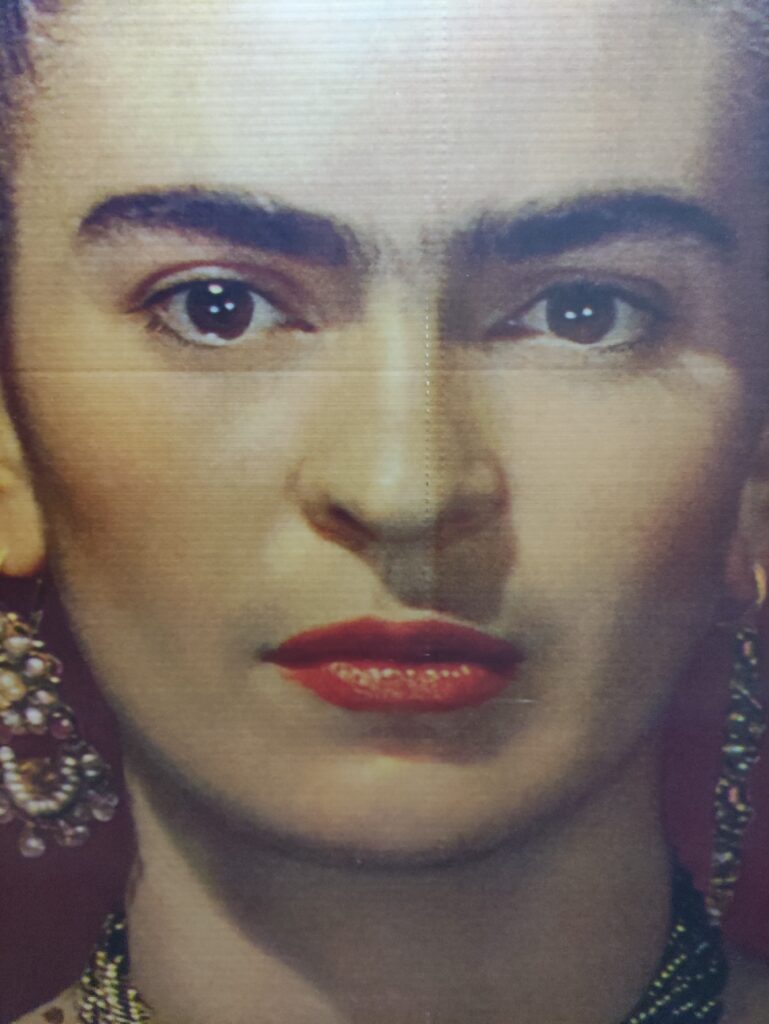FOTO DI FRIDA KHALO