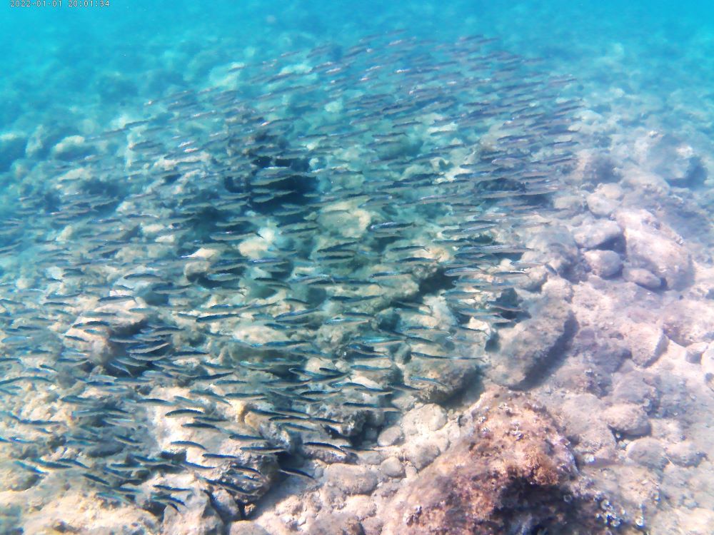LE MIE FOTO DEL MONTENEGRO